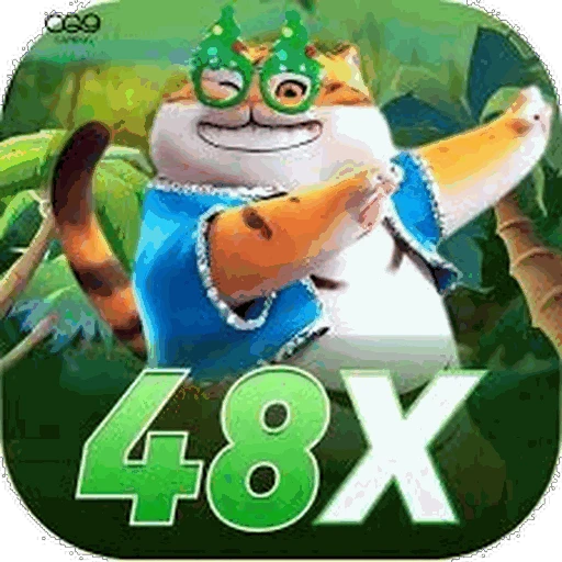 48X Logo